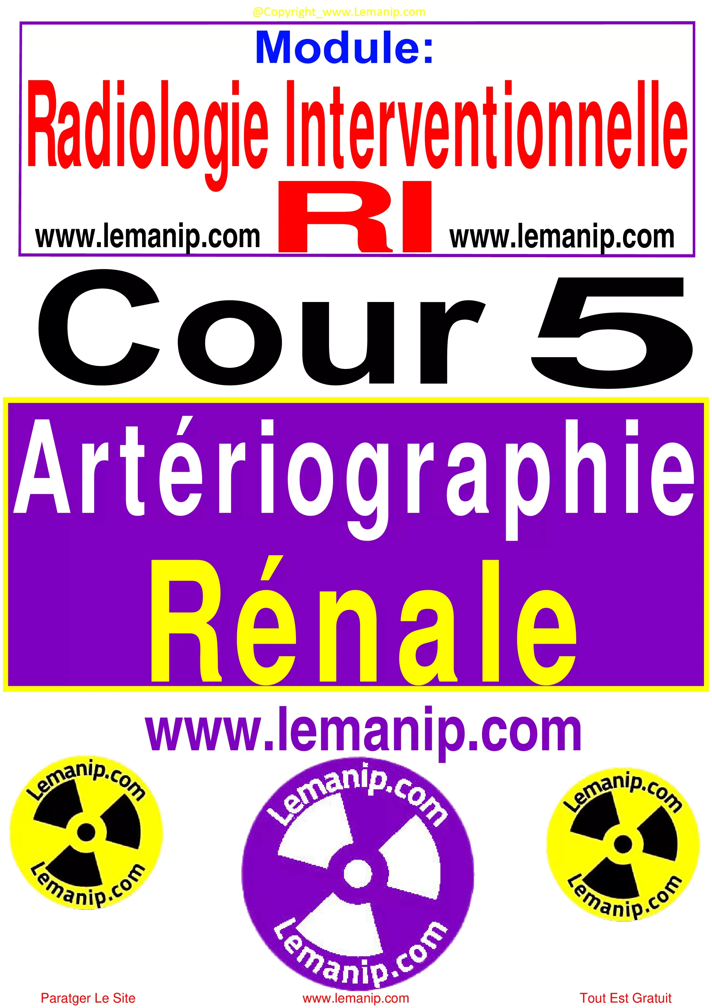 Artériographie Rénale