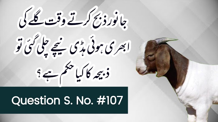 جانور ذبح کرتے وقت گلے کی ابھری ہوئی ہڈی نیچے چلی گئی تو ذبیحے کا کیا حکم ہے ؟