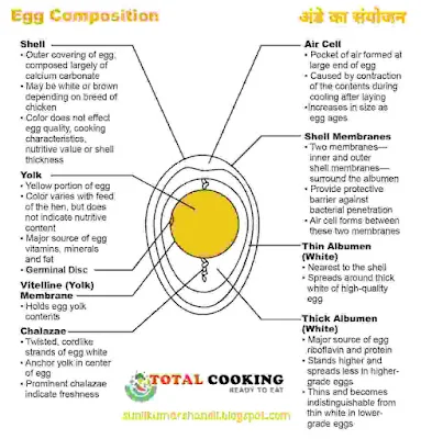 EGG COOKERY- एग कुकरी (अंडा कुकरी) परिचय | Introduction to Egg Cookery in Hindi