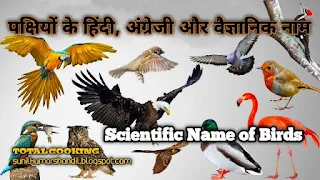 पक्षियों के हिंदी, अंग्रेजी और वैज्ञानिक नाम:Scientific Name of Birds in Hindi