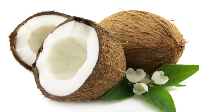 नारियल /coconut, कौन?सा नारियल फायदेमंद है /medicinal properties ,सेवन विधि /नुकसान /फायदे ..