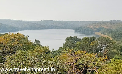 चिड़ीखो वन्यजीव अभयारण्य नरसिंहगढ़ - Chidikho Wildlife Sanctuary Narsinghgarh