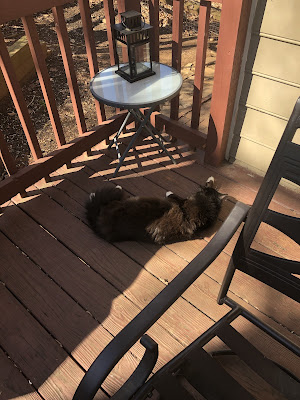 Moose sprawled out on the back porch by the door rubbing his back against the deck.