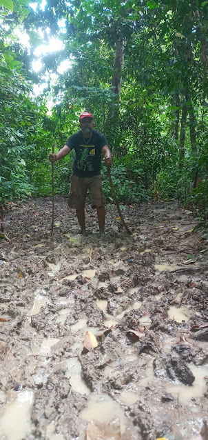 In the treacherous Rain forest jungle of Havelock Island.