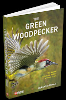 The Green Woodpecker