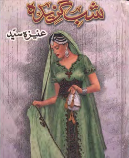 shab-gazeeda-novel-download