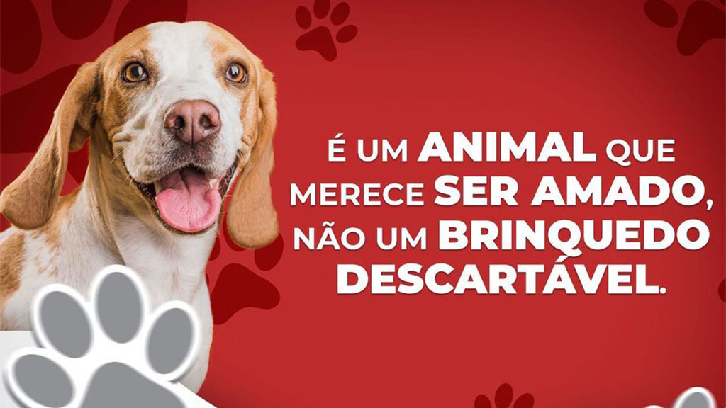 Prefeitura de Sertânia inicia campanha contra abandono de cachorros