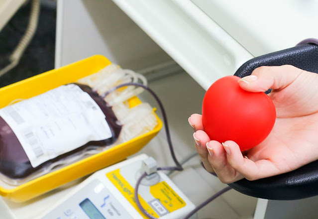 Hemocentro da Paraíba promove Semana do Doador de Sangue