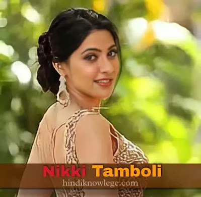 निक्की तंबोली जितनी परिचय, tamboli biography in hindi,Age, niklti tamboli Hight, wight, boyfriend,femley