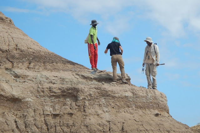Earliest human remains in eastern Africa dated to more than 230,000 years ago