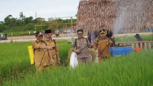 Dampingi Mentan RI Kunjungi Lokasi Penas KTNA, Wako Hendri Septa: Momentum Tingkatkan Perekonomian masyarakat