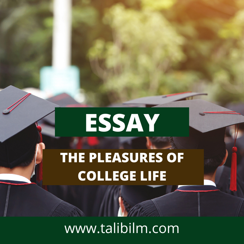 Essay THE PLEASURES OF COLLEGE LIFE