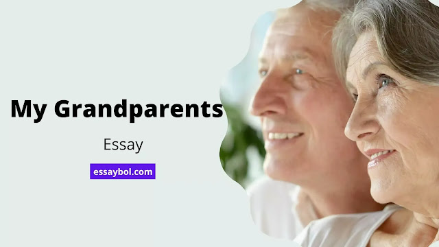 My Grandparents essay,paragraph on My Grandparents,My Grandparents essay in english for class 9 and class 10 students