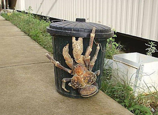 https://allthatsinteresting.com/coconut-crab