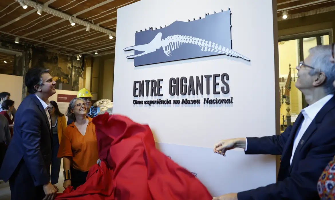          Museu Nacional do Rio reabre para exposição sete anos após incêndio      