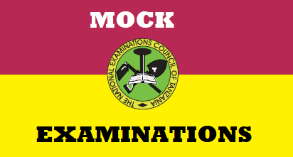 Mock Examinations Primary And Secondary Schools