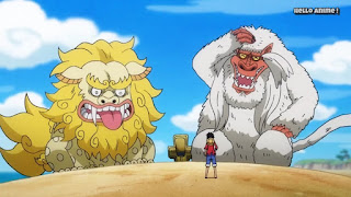 ワンピースアニメ 893話 ワノ国編 | ONE PIECE