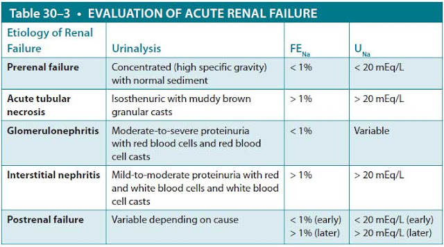 evaluation of acute renal failure