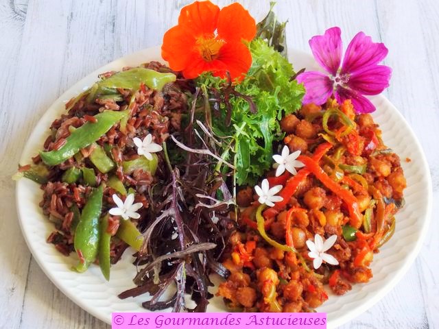 Pois chiches épicés aux poivrons et riz rouge aux cyclanthères (Vegan)