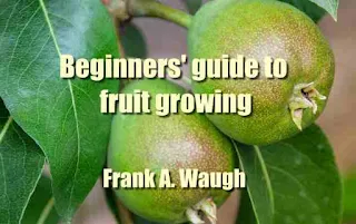 Beginners' guide to fruit growing