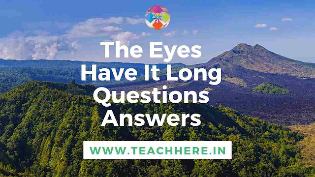 The  Eyes Have It Long Question Answer Class 12