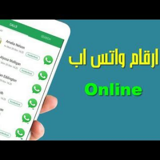 قروب واتس اب أرقام واتساب مجانا