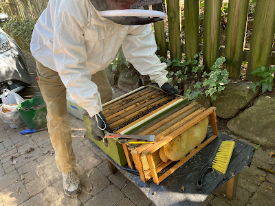 beekeeping,bee,Small Hive Beetle,checkerboarding,winter,nectar,bee cozy,hive tool,