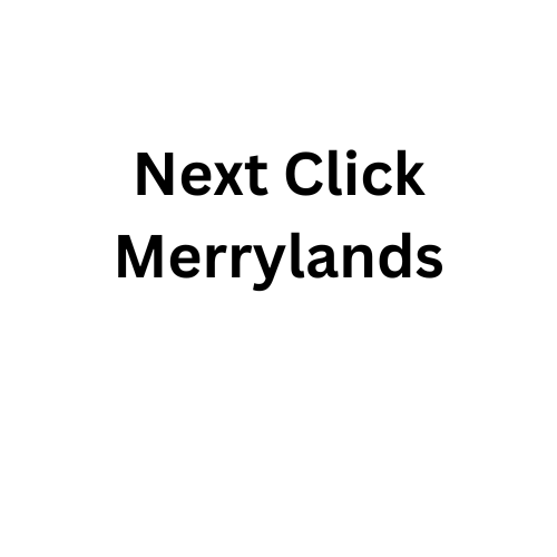 Next Click Merrylands