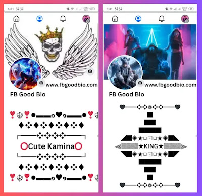 Facebook Stylish Bio