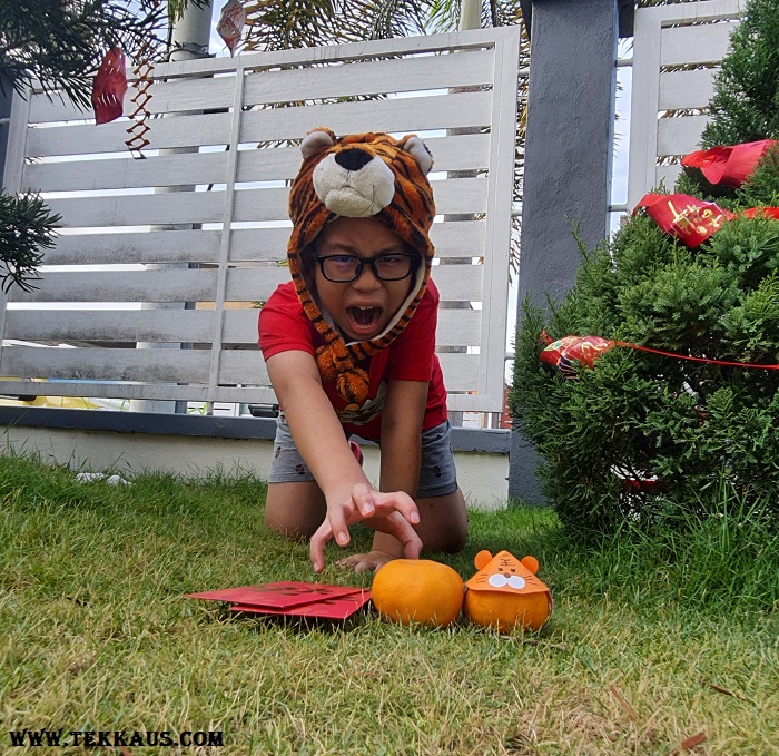 Jordan boy wearing his Tiger costume