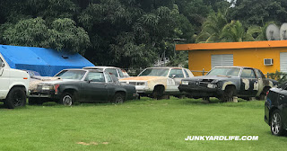 A yard full of junk Olds Cutlasses, 1978-1987 models.