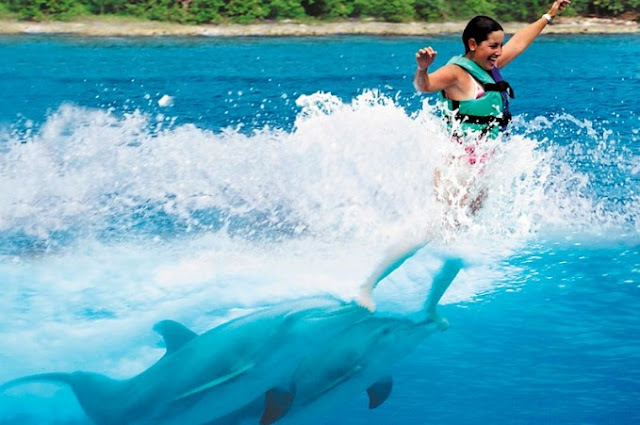 Swim with dolphins in Cancun Isla Mujeres
