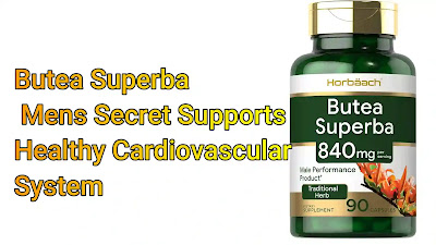 Butea Superba Mens Secret Supports Healthy Cardiovascular System
