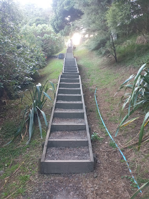 Steep wooden ladder walkway leading to Mt Eden in Auckland.