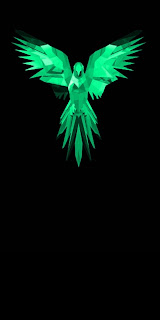 Green bird  illustration