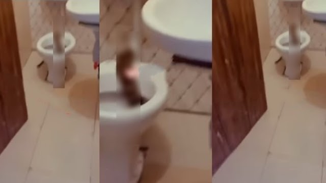 VIDEO: Students Flee After Spotting Large Snake In The Toilet 