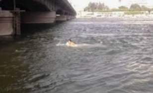 إنقاذ طالب من الغرق بعد سقوطه فى نهر النيل بسوهاج