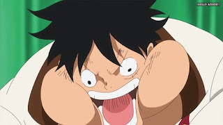 ワンピースアニメ WCI編 805話 ルフィ Monkey D. Luffy | ONE PIECE Episode 805