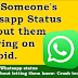 view someone whatsapp status without knowing- crush tech