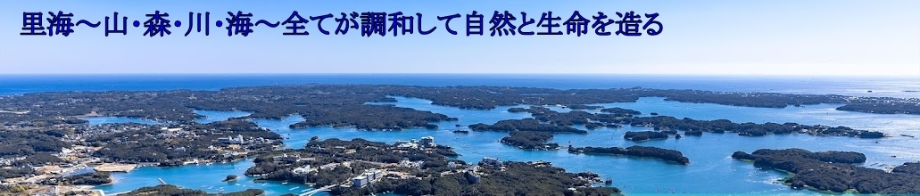 タマゴケの育て方と特徴 栽培に必要な環境 光量 気温 湿度 と水槽 テラリウム ボトル への適応度 里海 Web水族館 動物園 昆虫館 植物園