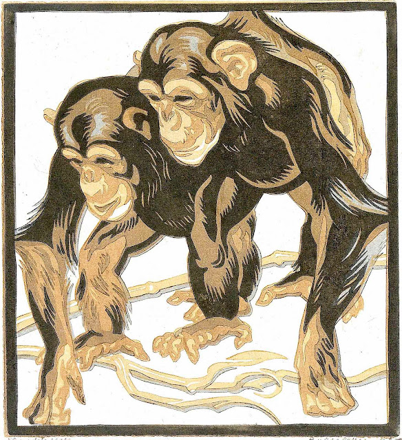 Norbertine von Bresslern-Roth chimpanzees