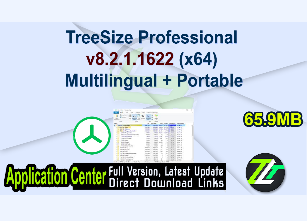 TreeSize Professional v8.2.1.1622 (x64) Multilingual + Portable