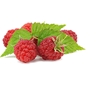 Raspberry Ketone Fruit