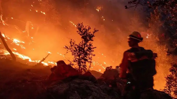 Los Angeles: ಭೀಕರ ಸ್ಥಿತಿ; 80 ಕಿ.ಮೀ ವೇಗದಲ್ಲಿ ಗಾಳಿ, ಕಾಳ್ಗಿಚ್ಚು,Red Alert