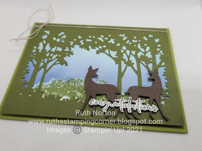 stampin up, grassy grove