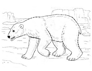 Polar bear coloring page