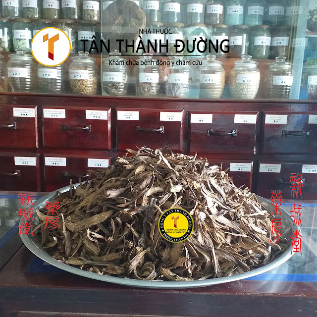 Tri-thai-dong-khong-yen-dau lung