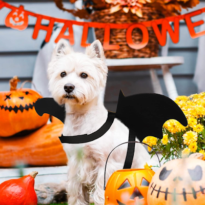 disfraces para perros halloween