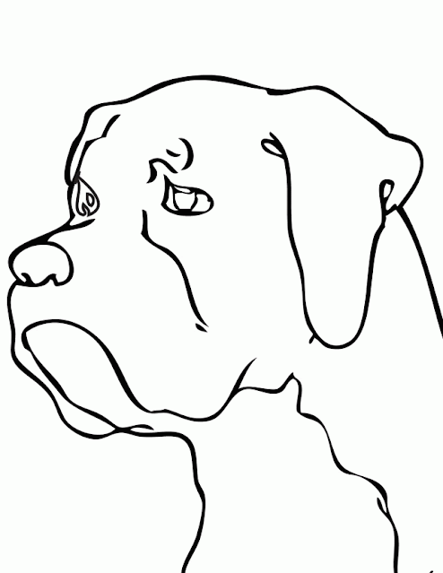 Free dog types coloring pages for kids and adults