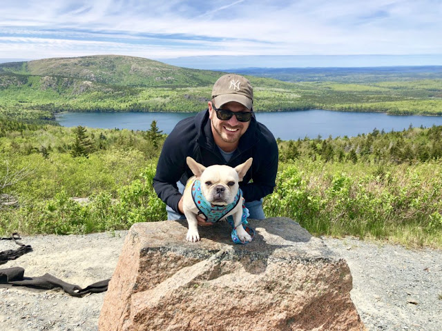 Vacaciones con perros en el Parque Nacional Acadia